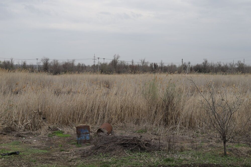 
Город стоит на болотах. Вот такой весенний пейзаж болота можно увидеть.