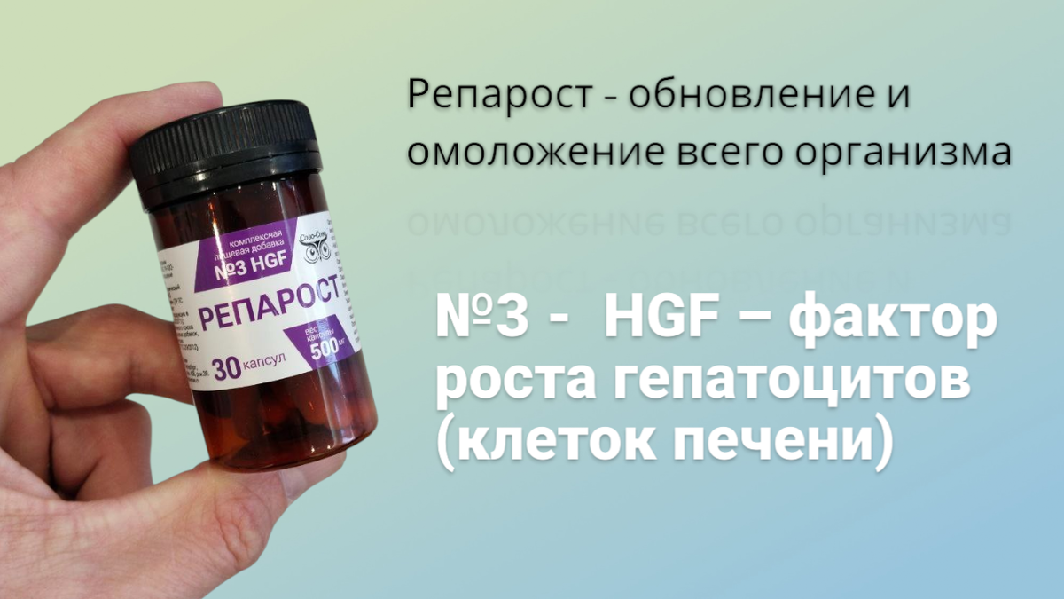 репарост сово сова