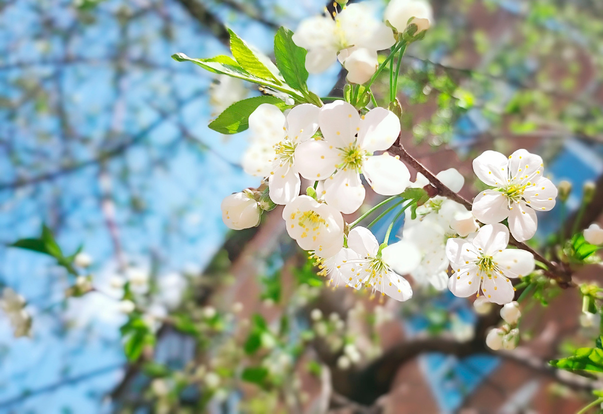 Личное фото
