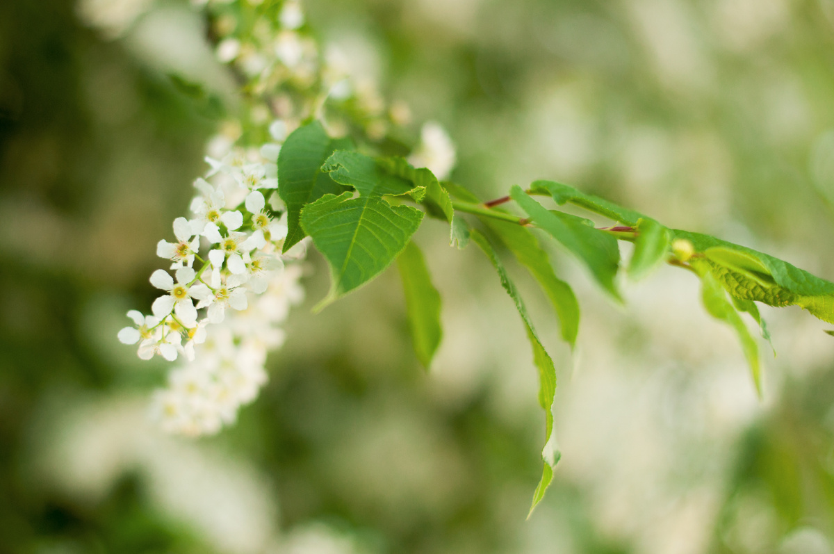 Личное фото