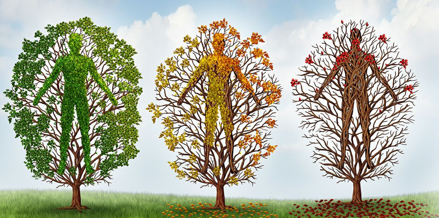 Человек - дитя природы и с ним происходит все тоже самое