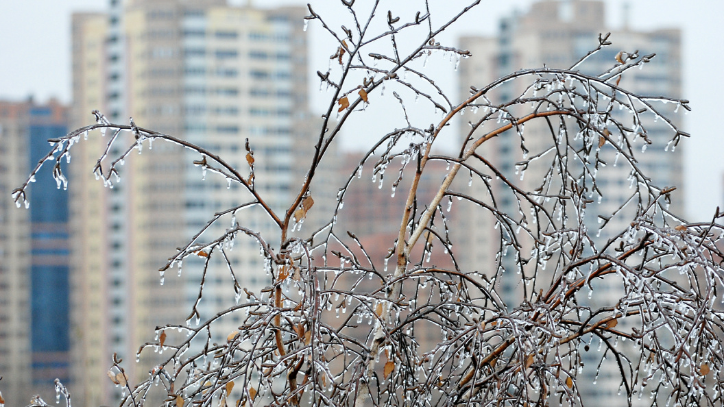    Фото: © Alexander Legky, Alexander Legky/Globallookpress