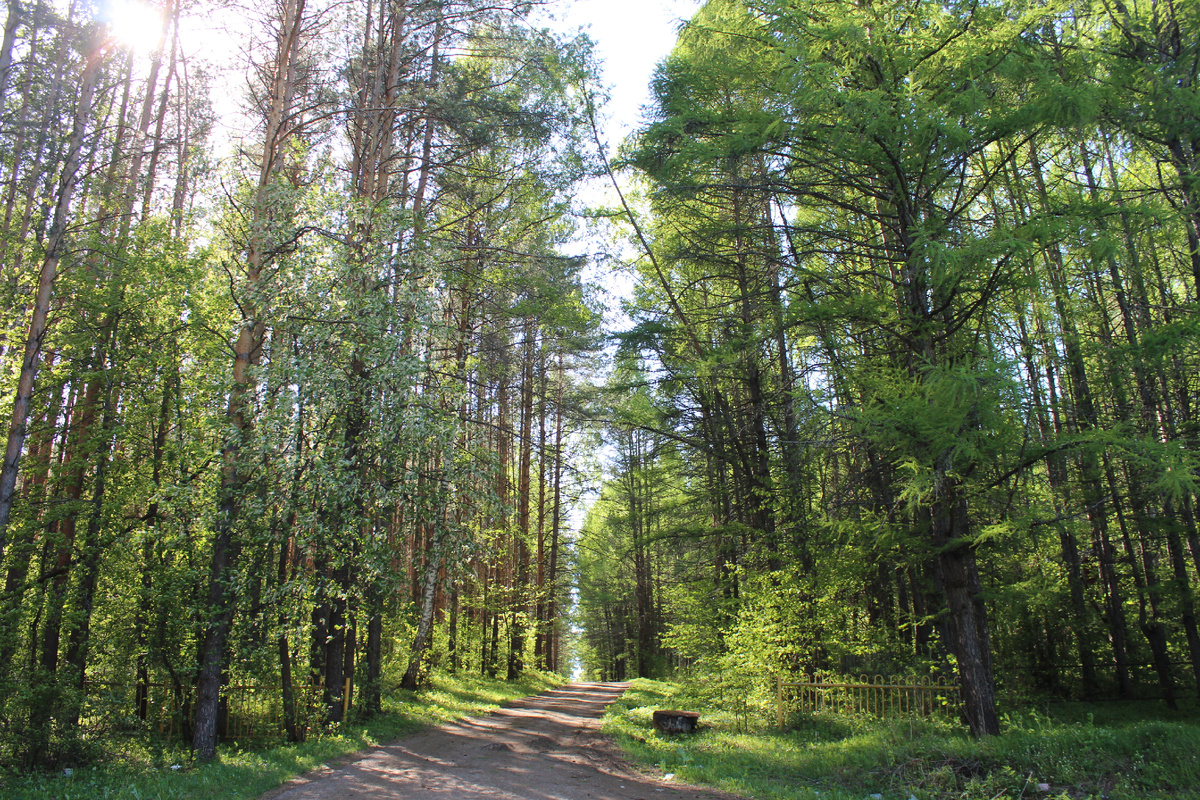 Окрестности Актюбы. Фото Л.Габдрафиковой. 2018 г.