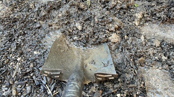    © Getty Images / Gado