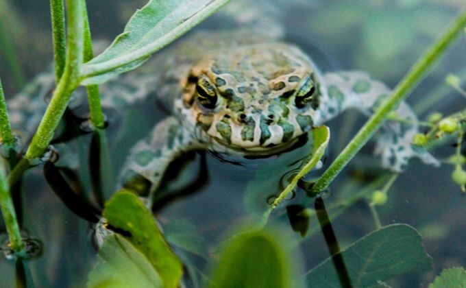 © Фото из архива VN.ru.📷
