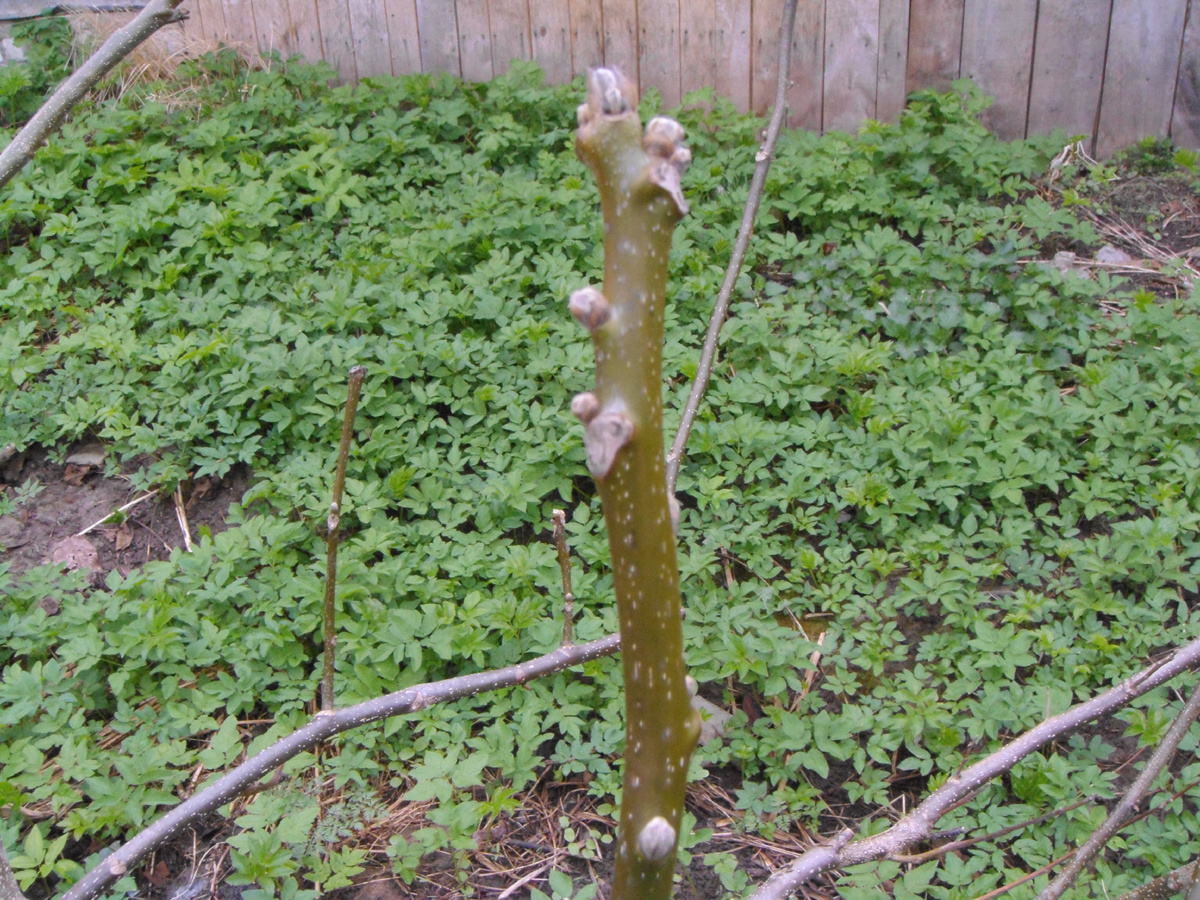 (Фото личного архива)