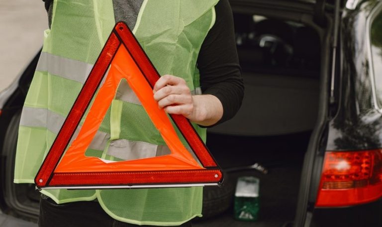    Фото: Freepik / prostooleh Ксения Евдокимова