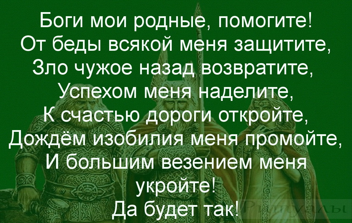 Картинка 2