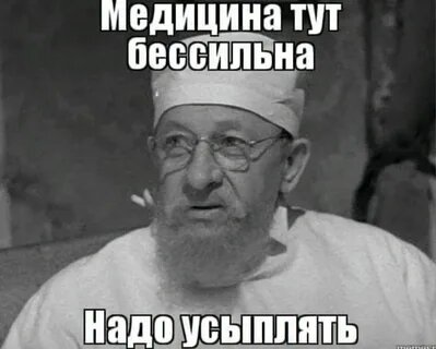 Фото из Яндекса. Открытый источник