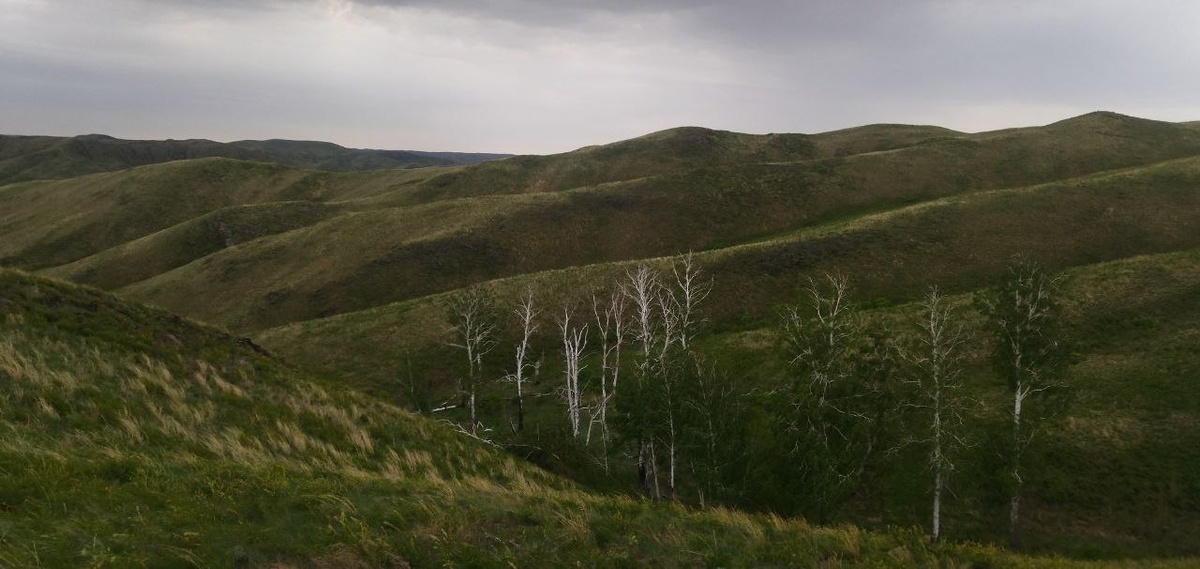 Губерлинские горы