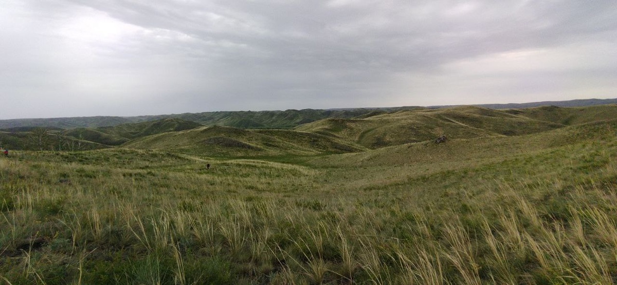 Губерлинские горы