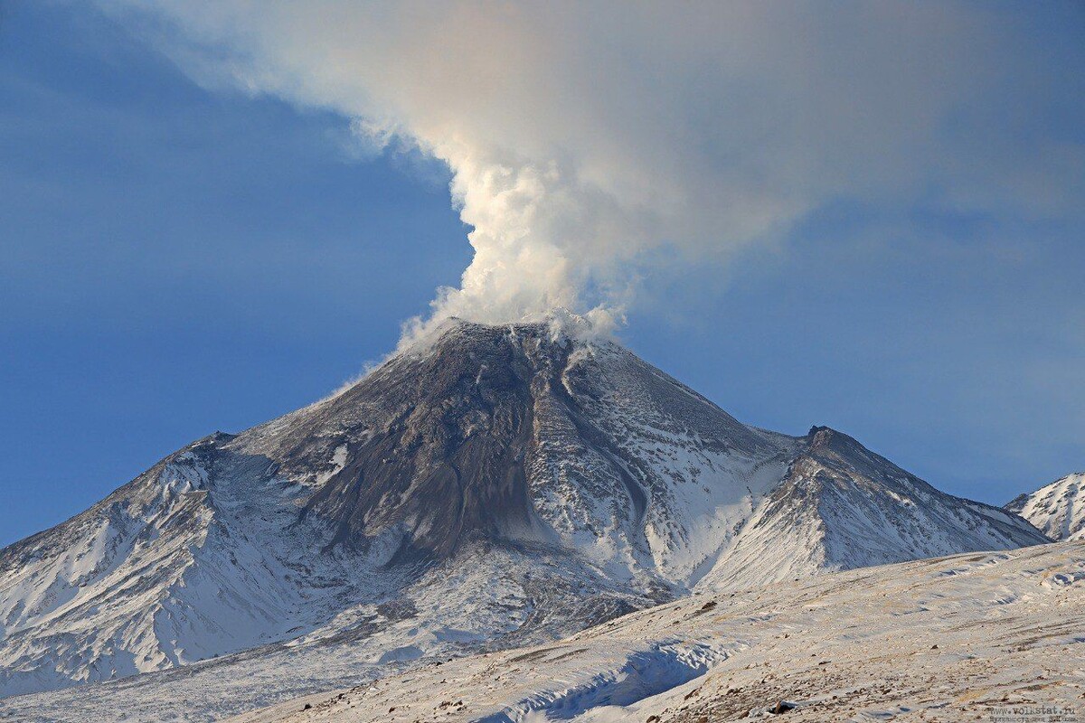     / Источник: © ИВиС ДВО РАН