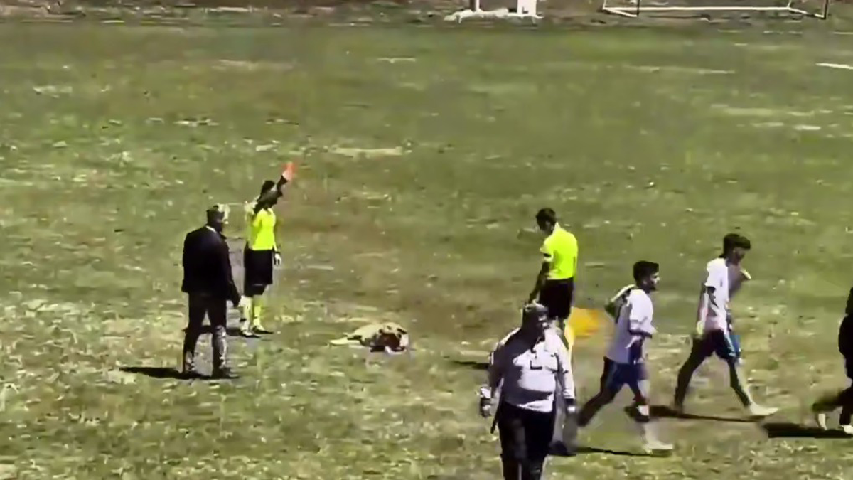    Фото: Скриншот видео RT