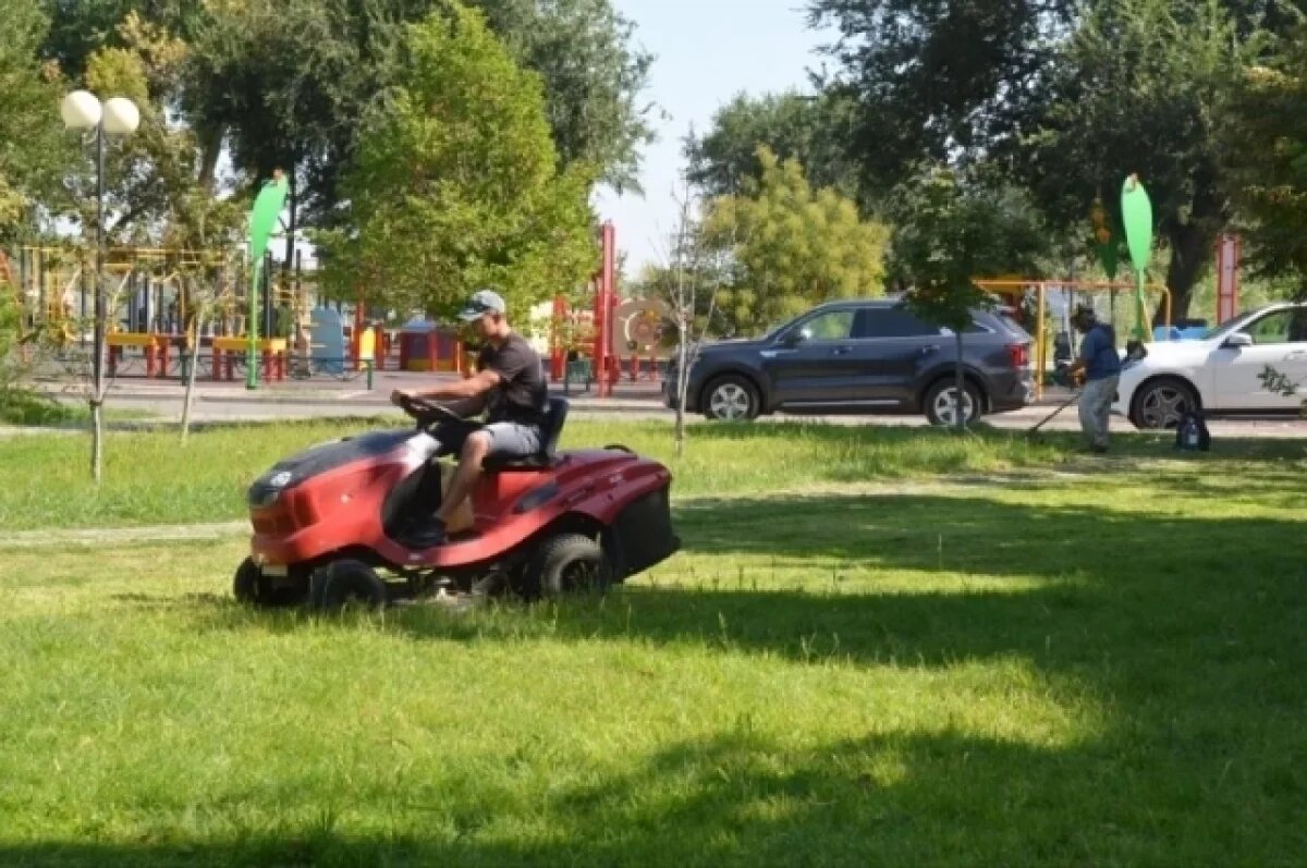    Астраханской области нужны озеленители