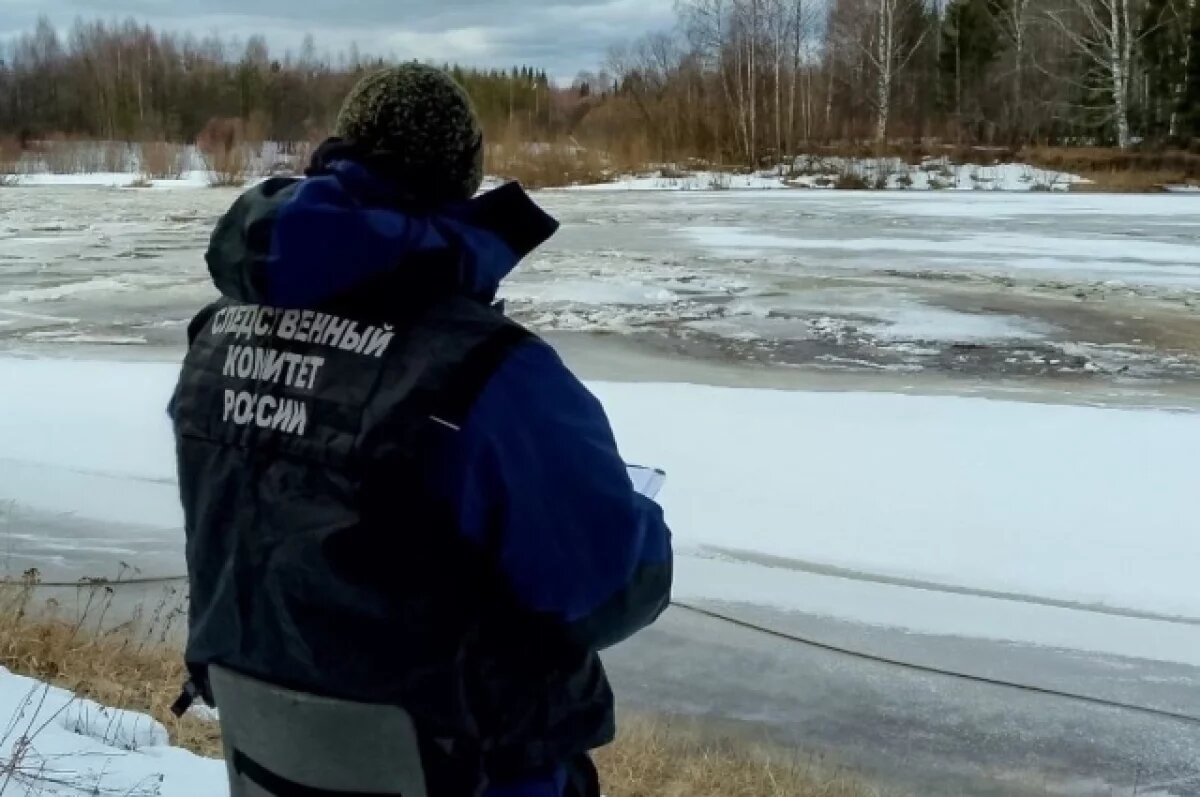    Следственный комитет возбудил уголовное дело.