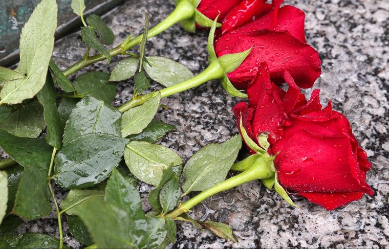    Сергей Булкин/NEWS.ru