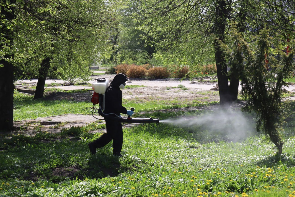    Перенесите прогулку в курском Первомайском парке на послезавтра