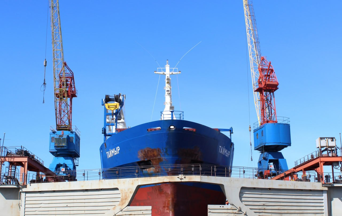 Фото из Telegram-канала ЦС «Звездочка»