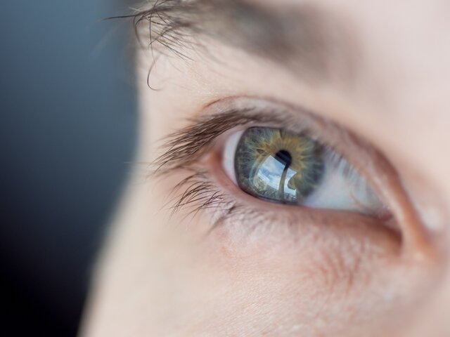    Фото: 123RF/liakoltyrina