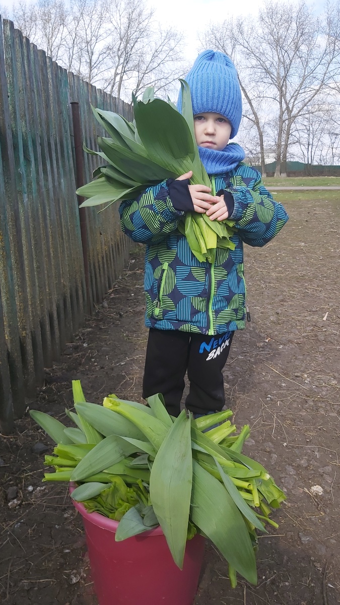 Фото автора В деревне с помощником