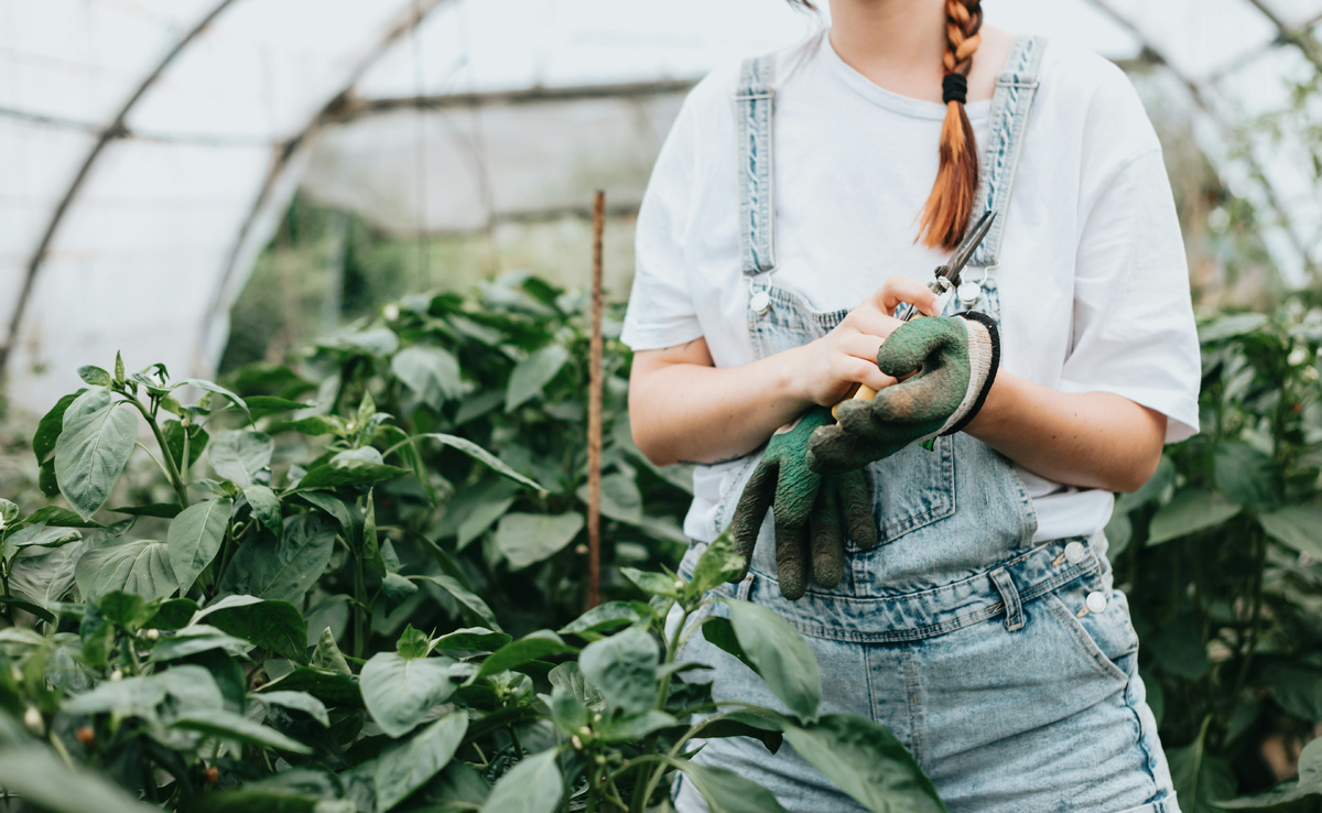 Дача это не только отдых, но и ответственность 
