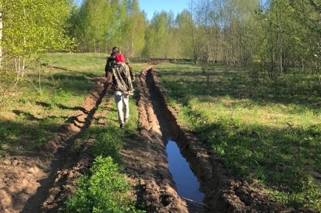    Дорога в лес к воинскому захоронению близ деревни Сазоненки Западнодвинского округа. Фото: Из личного архива