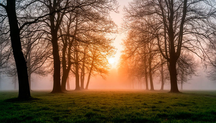 Если 23 апреля ссолнце восходит в мареве, ждали хорошего урожая хлеба. Фото: shedevrum.ai