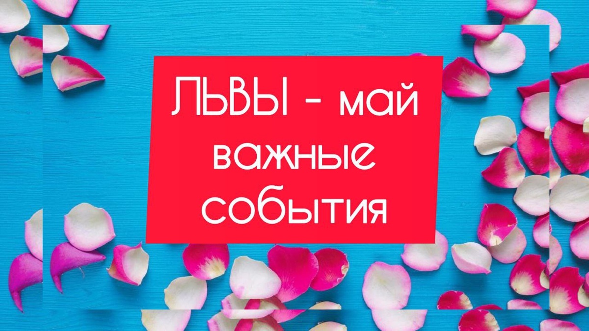 картинка принадлежит автору канала