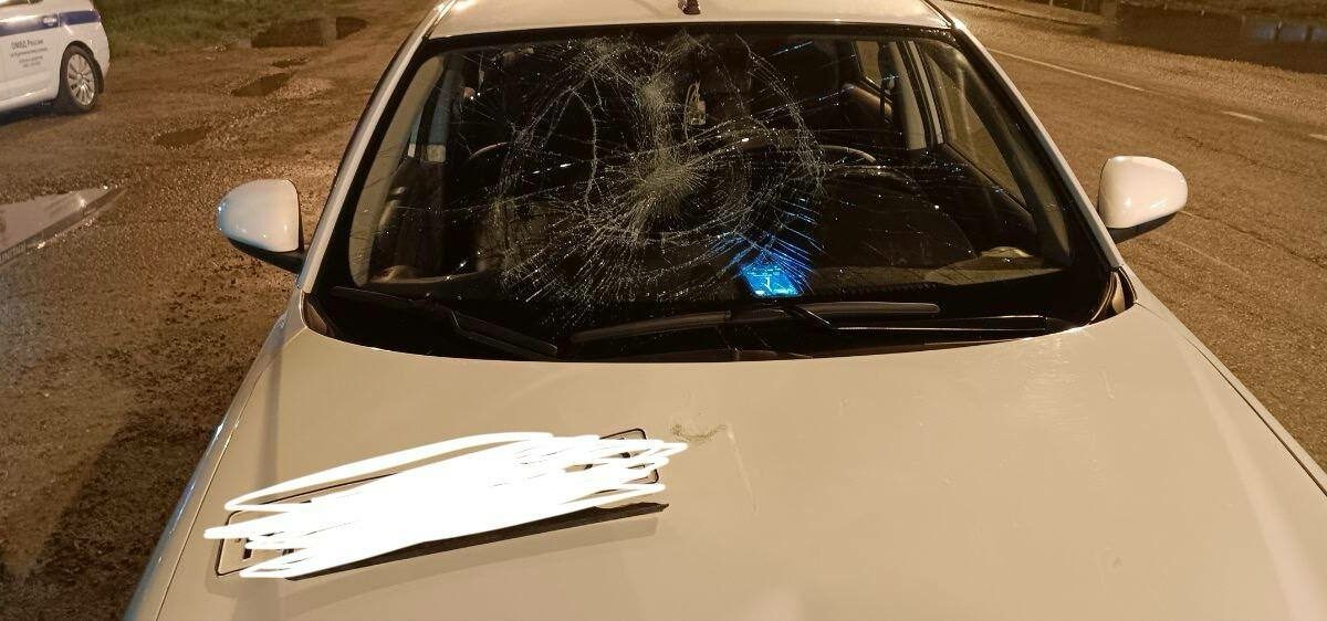    Фото t.me/police_kurganinsk