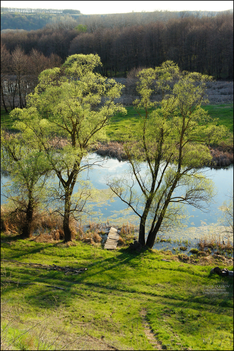 Здесь 3 фотографии, не забывайте листать ;) >>>