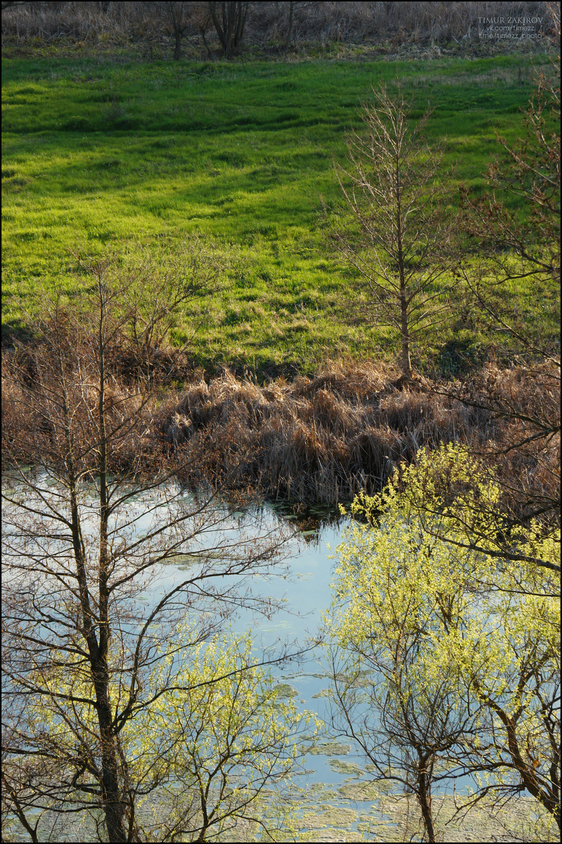 Здесь 2 фотографии, листайте >>>