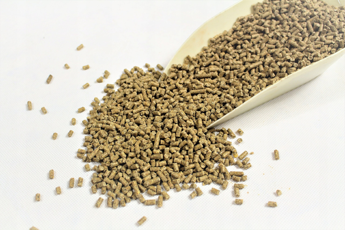 Источник: agrotimes.by