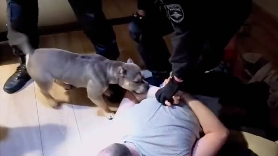 Фото: ГУ МВД по Петербургу и Ленобласти