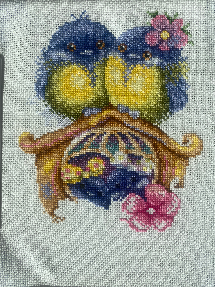 Так выглядели птички на прошлой неделе