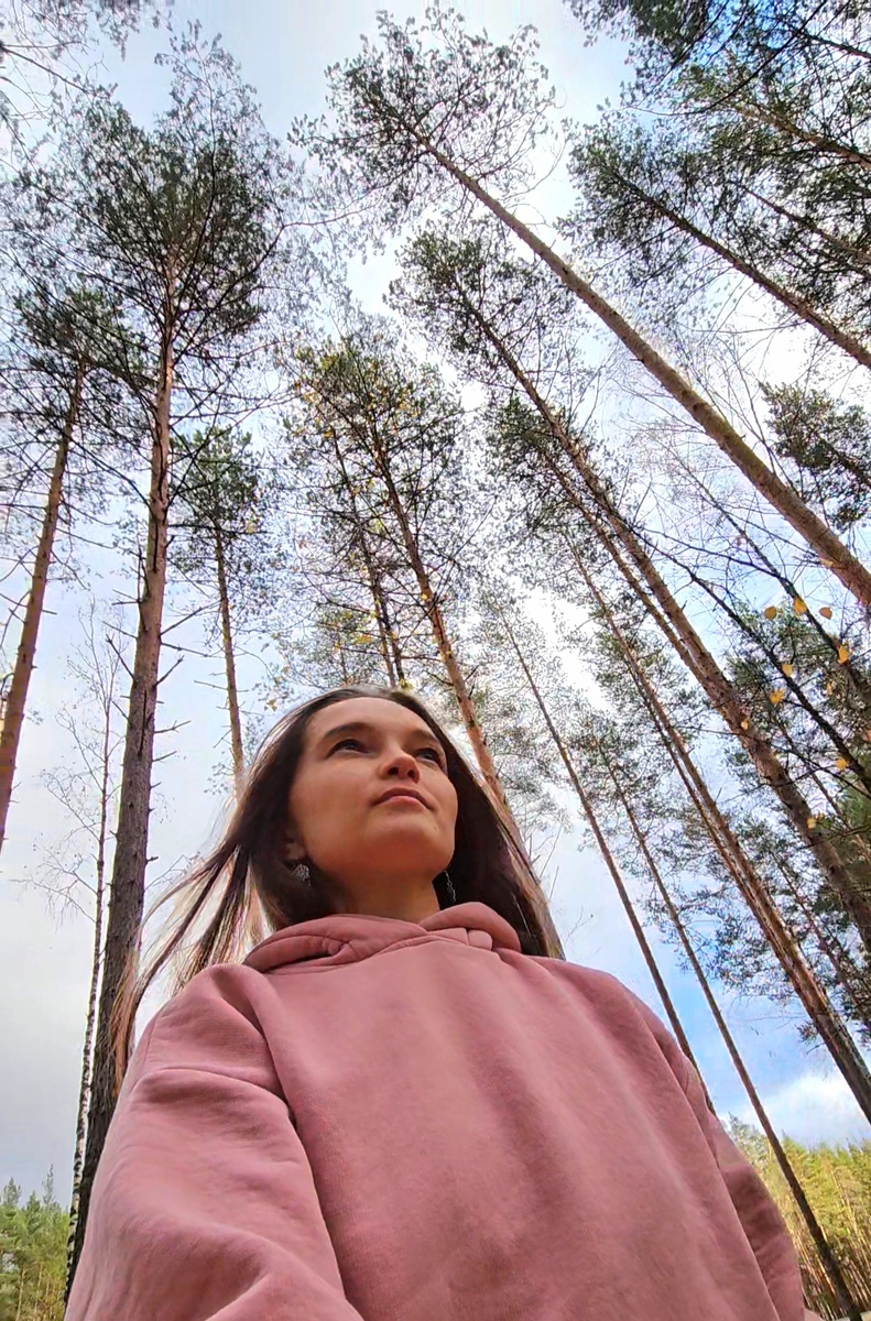 Марийский лес 