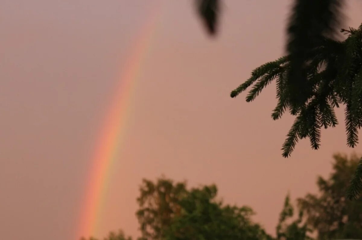    Грозы и 20-градусное тепло ожидаются в Свердловской области