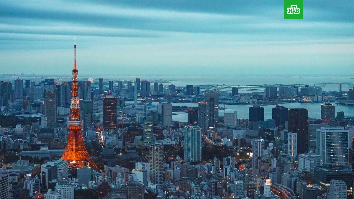    Фото: Louie Martinez / unsplash.com