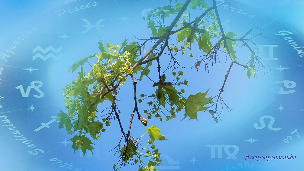 Гороскоп с 21 по 27 апреля 2025: опасные аспекты Солнца, Марса и Плутона | Недельный гороскоп 