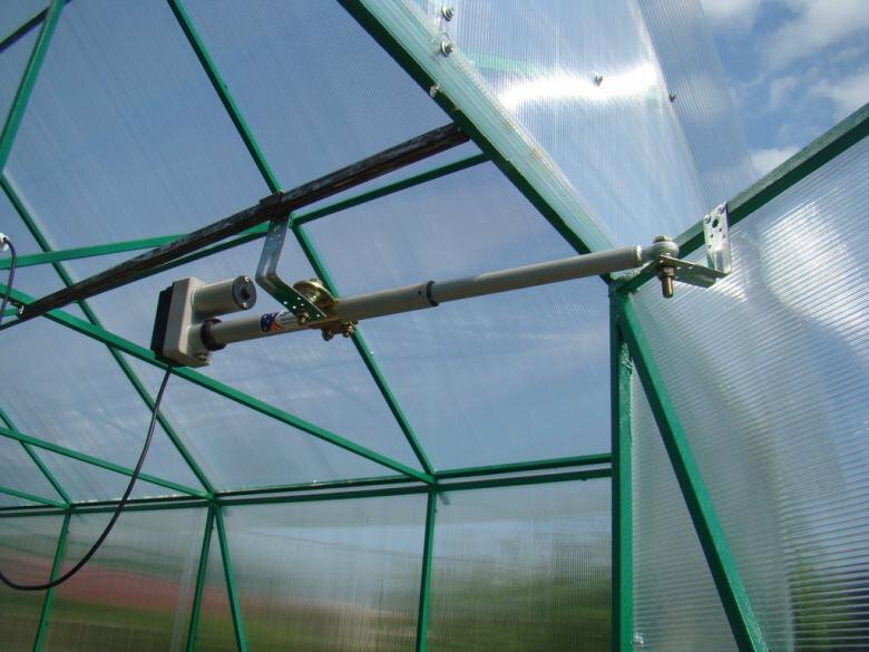 Фото с яндекс