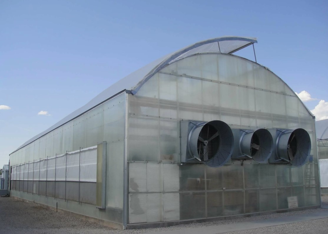 Фото с яндекс