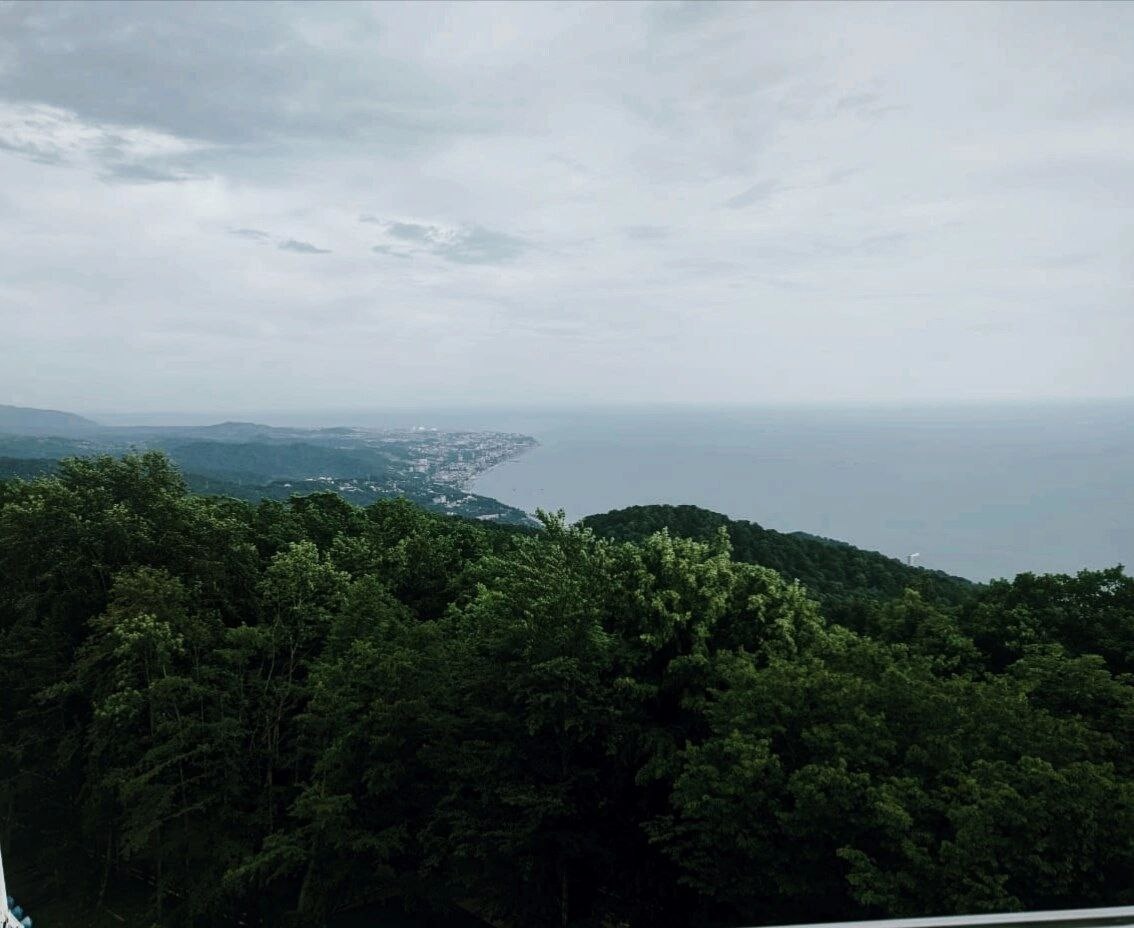 Фото: Утренний Юг