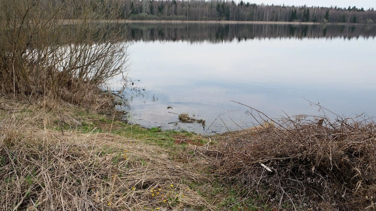     Источник: vk.com/Увинский район