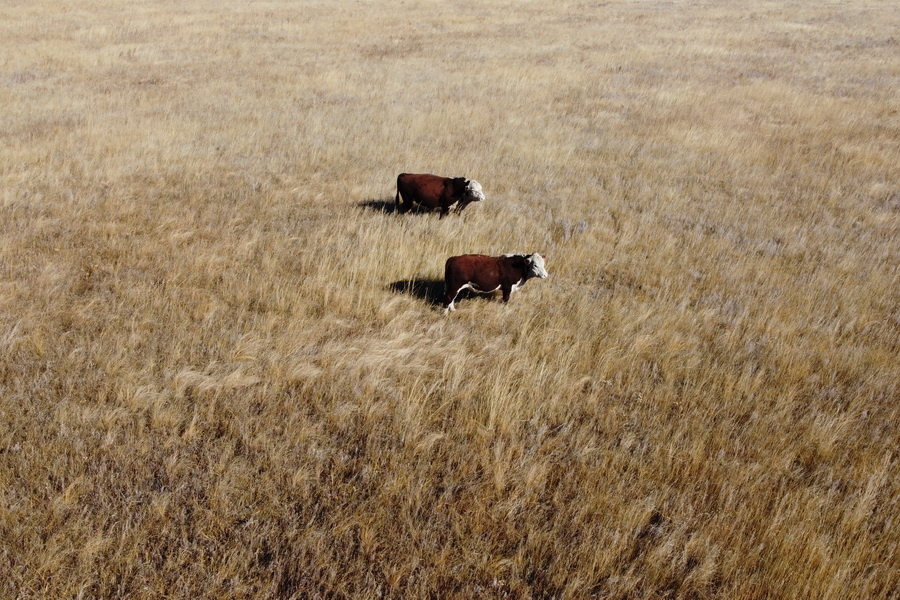 Источник фото: ElDala.kz