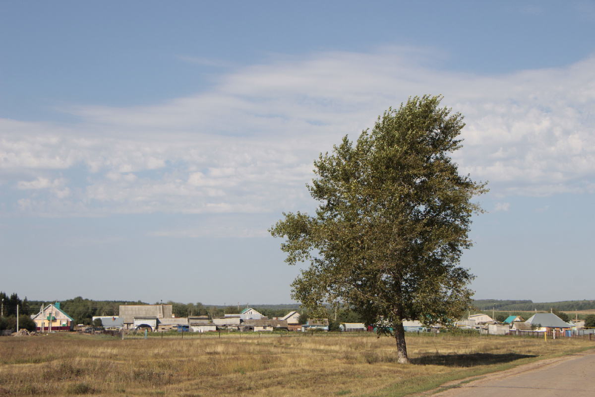 Ирекле. Фото Э.Харрасовой. 2016 г. / Альметьевская энциклопедия