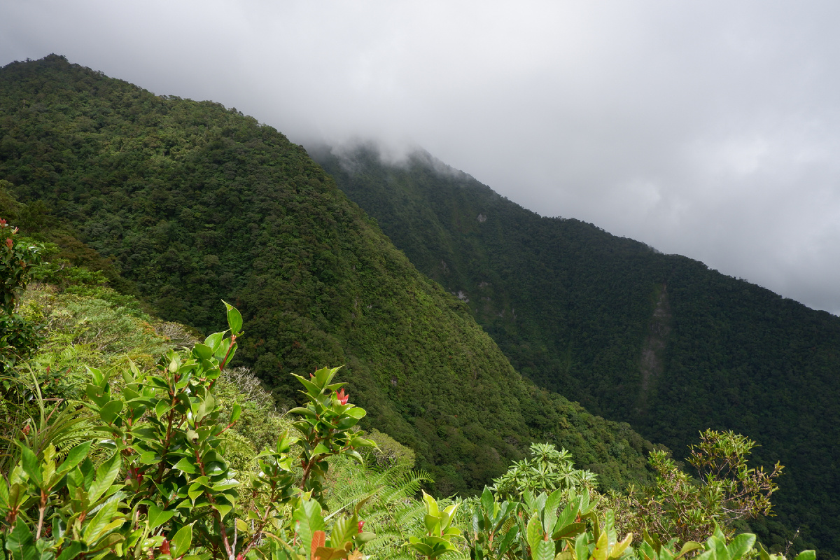 Склоны Талиниса.
