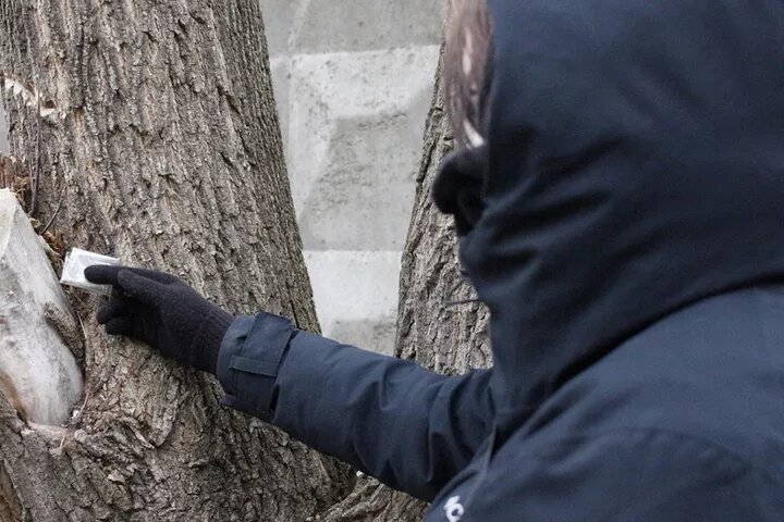    Пойманного с наркотиками жителя Ижевска осудили на 9 лет