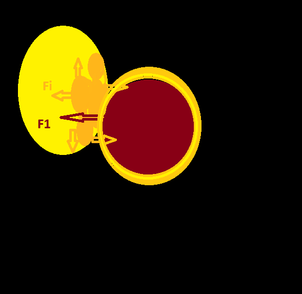 Демонстрация сжимаемости топосов. 