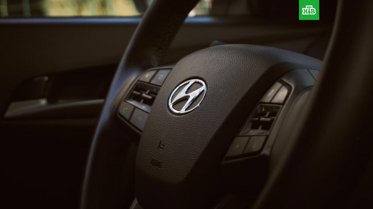    Фото: Karen Kasparov / unsplash.com