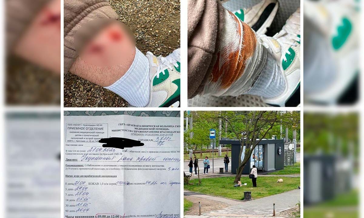    Фото t.me/med_kray