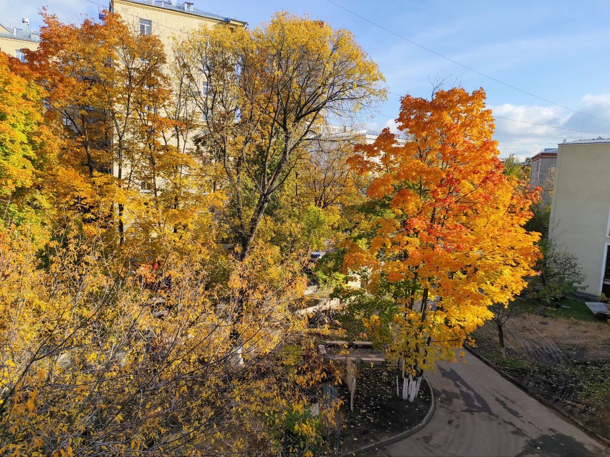 Это Москва. Золотая осень во дворе.
